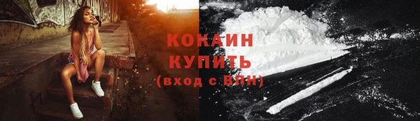 дживик Козельск