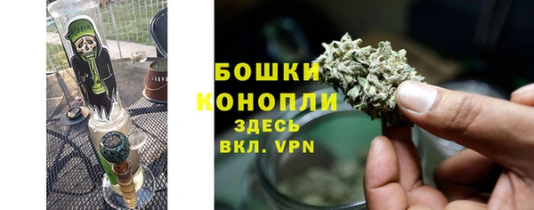 ПСИЛОЦИБИНОВЫЕ ГРИБЫ Козловка
