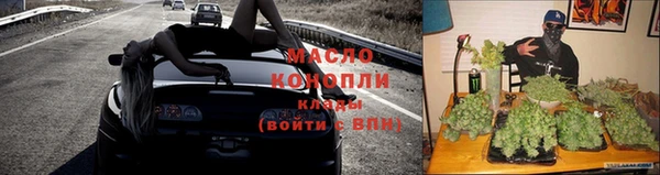 дживик Козельск