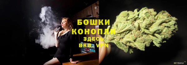 стаф Кодинск