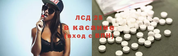 дживик Козельск