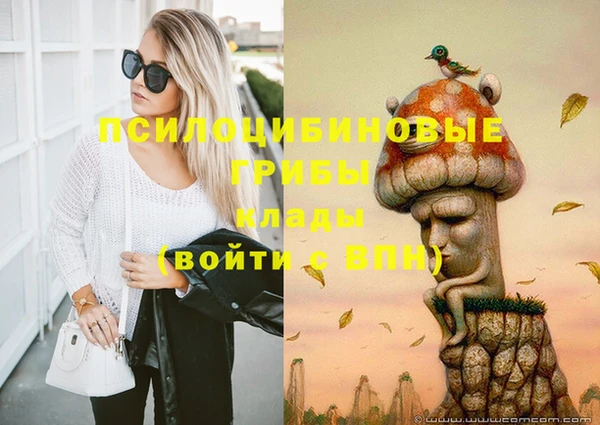 дживик Козельск