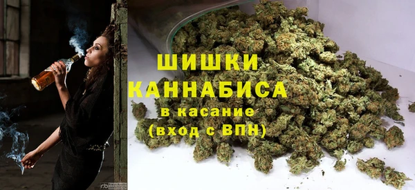 ПСИЛОЦИБИНОВЫЕ ГРИБЫ Козловка