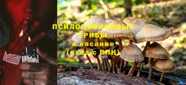 стаф Кодинск