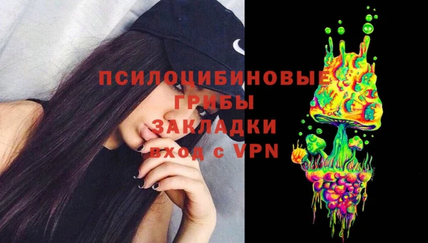 стаф Кодинск