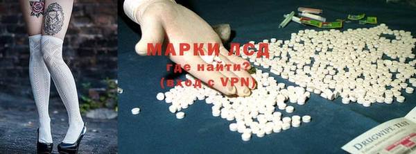 дживик Козельск