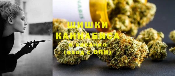 дживик Козельск