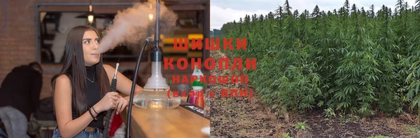 дживик Козельск